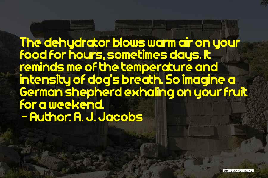 3 Days Weekend Quotes By A. J. Jacobs