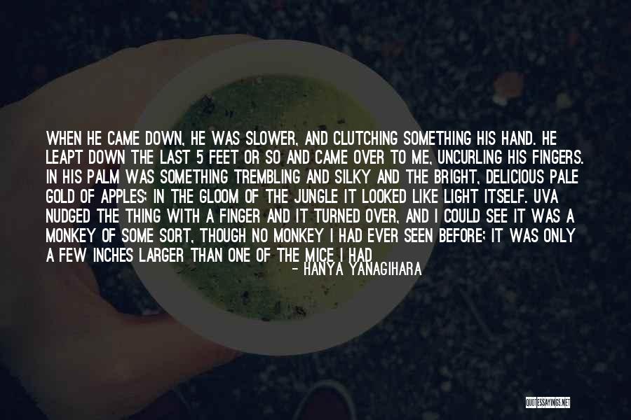 3 Feet From Gold Quotes By Hanya Yanagihara 3 Feet From Gold Quotes By Hanya Yanagihara