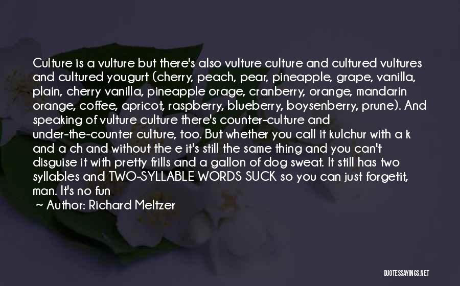 3 Letter Quotes By Richard Meltzer