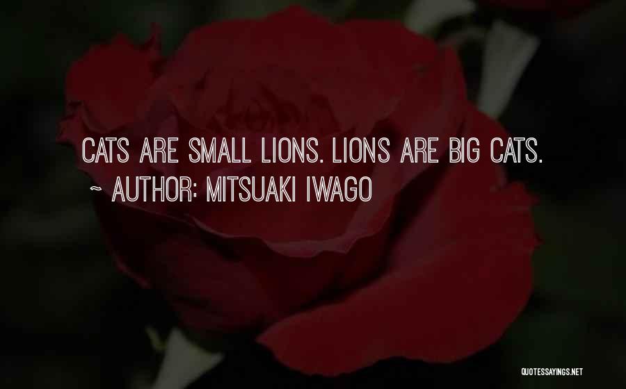 3 Lions Best Quotes By Mitsuaki Iwago