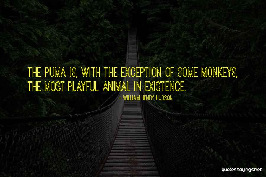 3 Monkeys Quotes By William Henry Hudson 3 Monkeys Quotes By William Henry Hudson