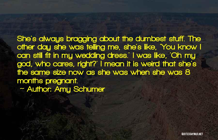 3 Months Pregnant Quotes By Amy Schumer