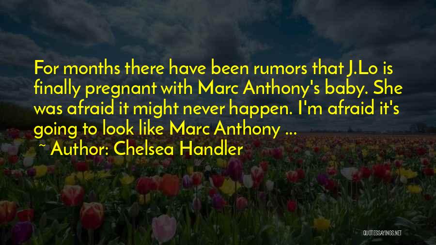 3 Months Pregnant Quotes By Chelsea Handler