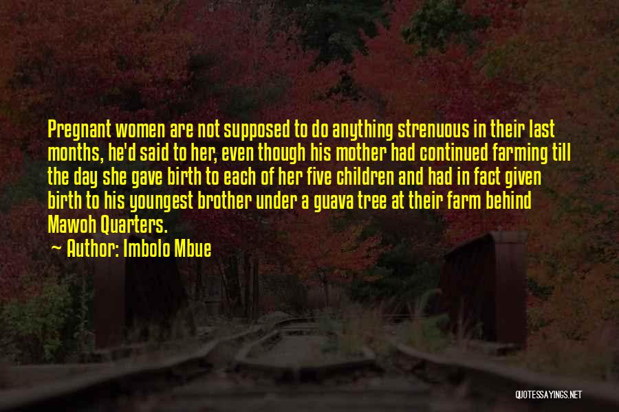 3 Months Pregnant Quotes By Imbolo Mbue