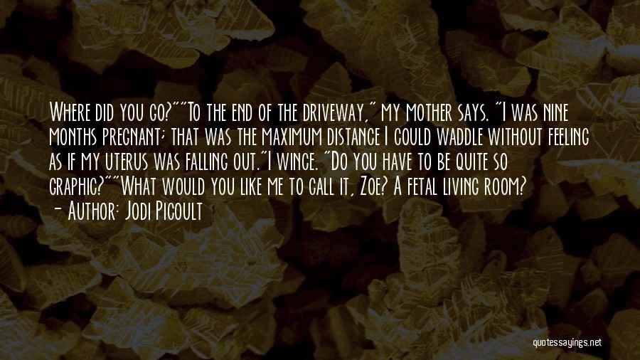 3 Months Pregnant Quotes By Jodi Picoult