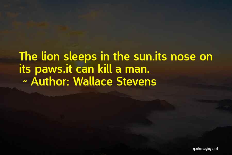 3 More Sleeps Quotes By Wallace Stevens