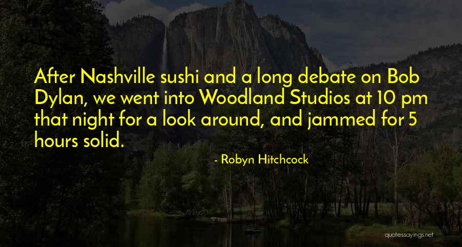 3 Pm Quotes By Robyn Hitchcock