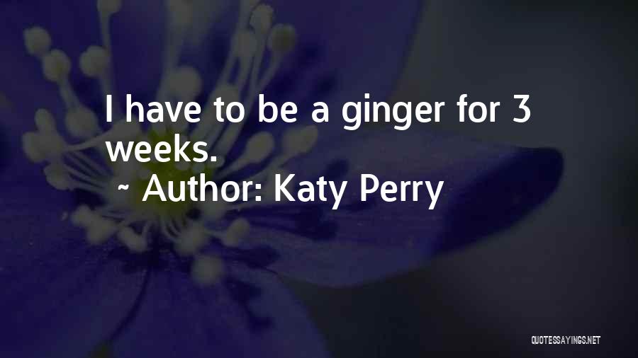 3 Weeks Quotes By Katy Perry