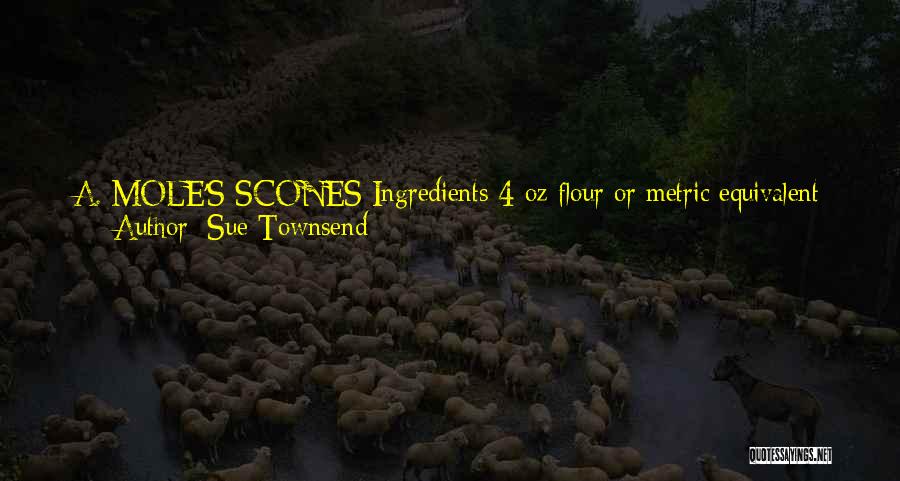 30 Seconds Quotes By Sue Townsend