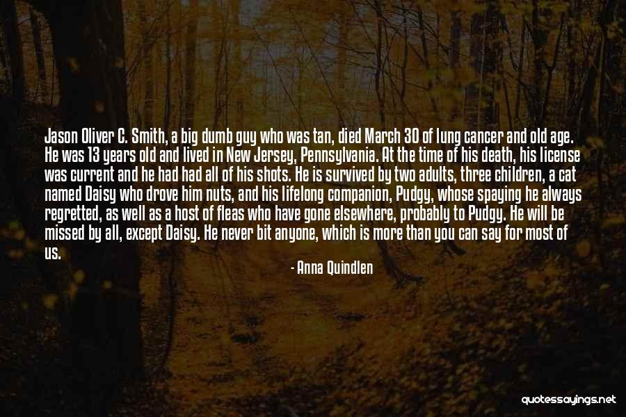 30 Years Age Quotes By Anna Quindlen 30 Years Age Quotes By Anna Quindlen