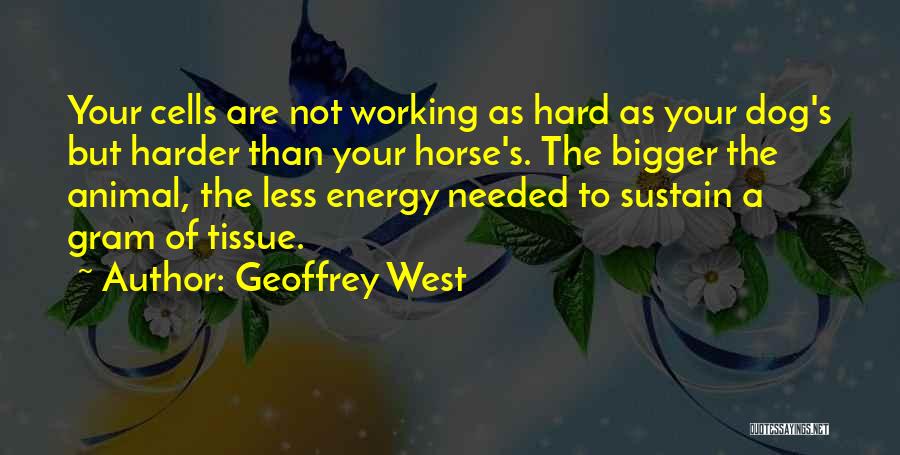Geoffrey West Quotes: Your Cells Are Not Working As Hard As Your Dog's But Harder Than Your Horse's. The Bigger The Animal, The