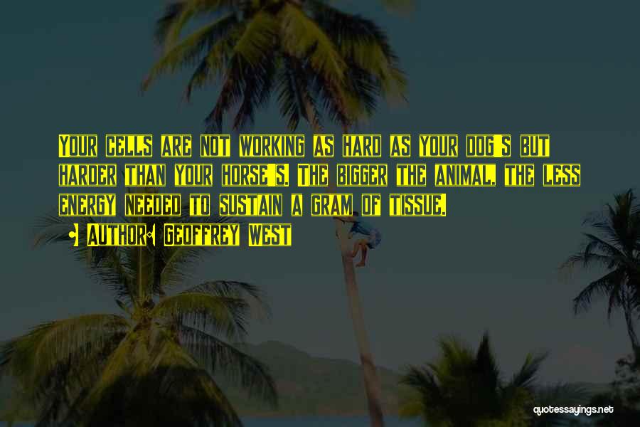 Geoffrey West Quotes: Your Cells Are Not Working As Hard As Your Dog's But Harder Than Your Horse's. The Bigger The Animal, The