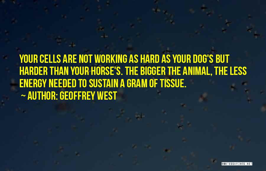 Geoffrey West Quotes: Your Cells Are Not Working As Hard As Your Dog's But Harder Than Your Horse's. The Bigger The Animal, The