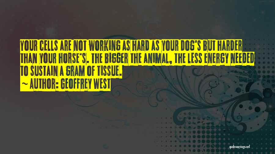 Geoffrey West Quotes: Your Cells Are Not Working As Hard As Your Dog's But Harder Than Your Horse's. The Bigger The Animal, The