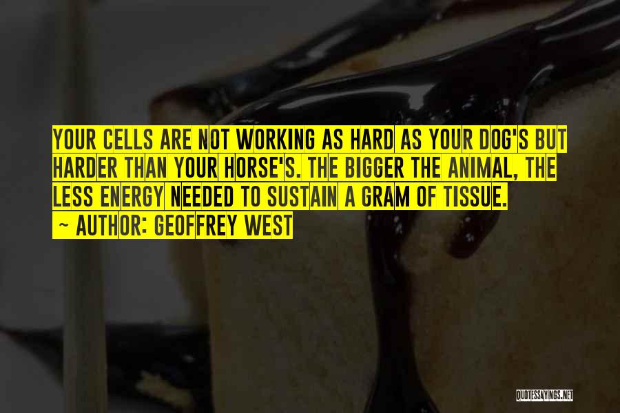 Geoffrey West Quotes: Your Cells Are Not Working As Hard As Your Dog's But Harder Than Your Horse's. The Bigger The Animal, The