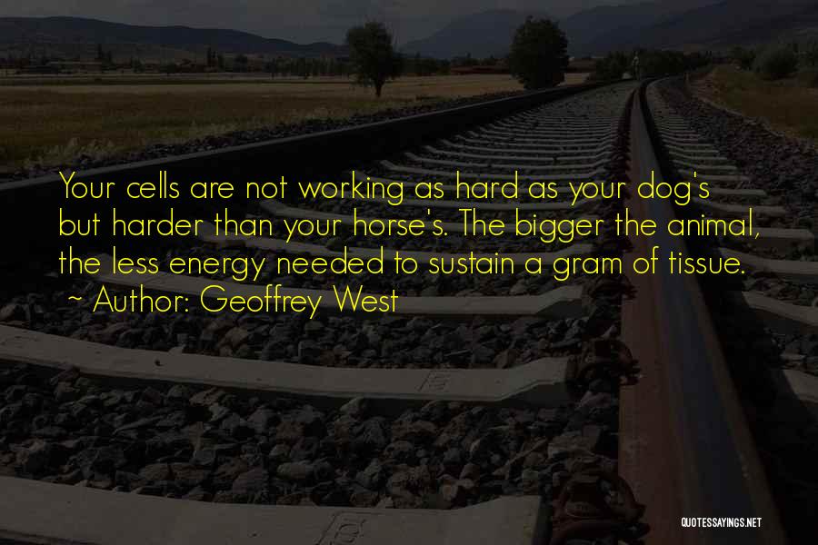 Geoffrey West Quotes: Your Cells Are Not Working As Hard As Your Dog's But Harder Than Your Horse's. The Bigger The Animal, The