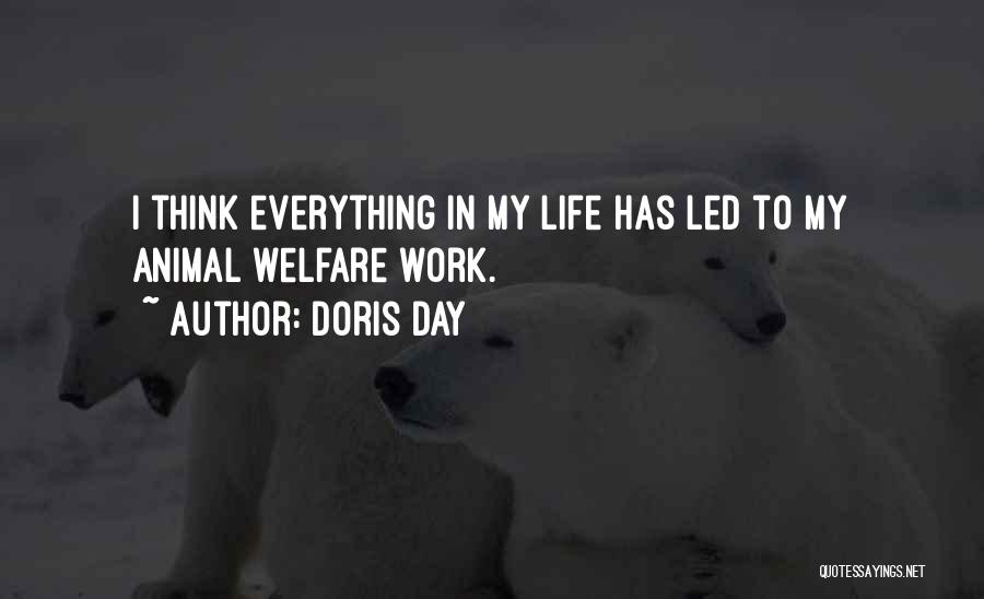 Doris Day Quotes: I Think Everything In My Life Has Led To My Animal Welfare Work.