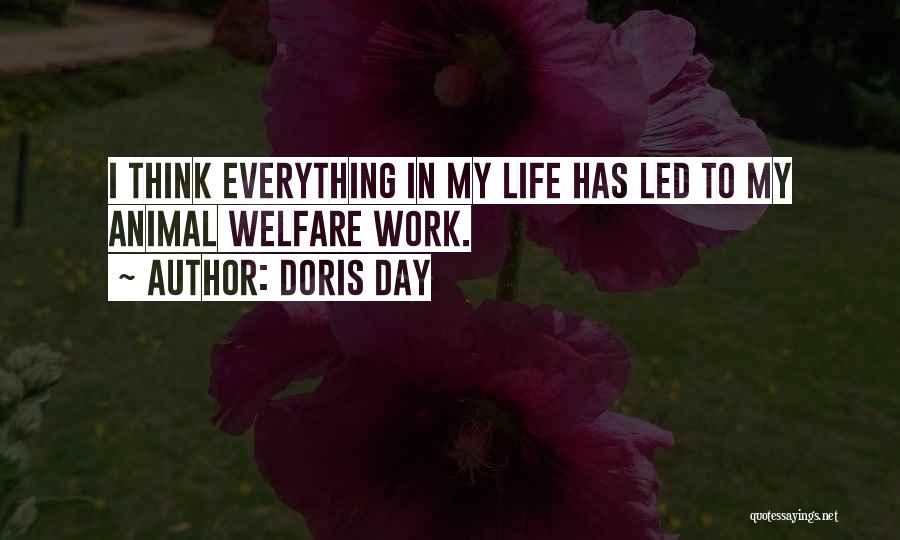 Doris Day Quotes: I Think Everything In My Life Has Led To My Animal Welfare Work.