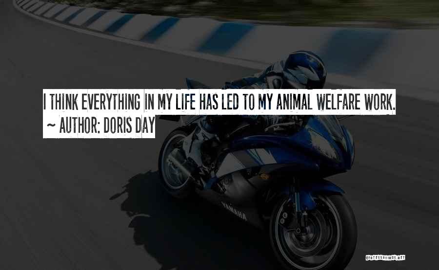 Doris Day Quotes: I Think Everything In My Life Has Led To My Animal Welfare Work.