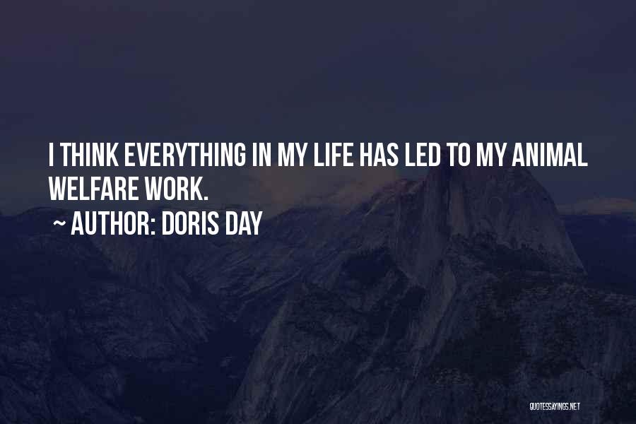 Doris Day Quotes: I Think Everything In My Life Has Led To My Animal Welfare Work.