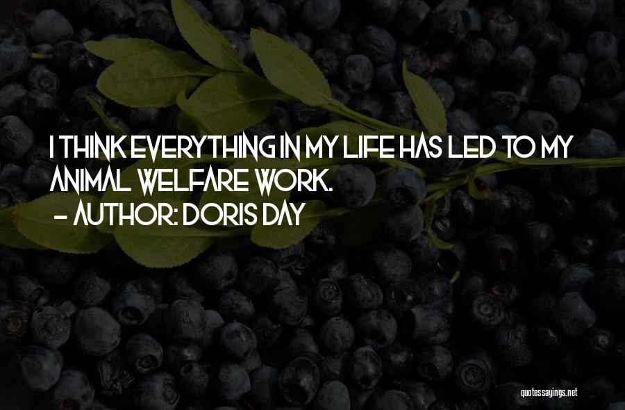 Doris Day Quotes: I Think Everything In My Life Has Led To My Animal Welfare Work.