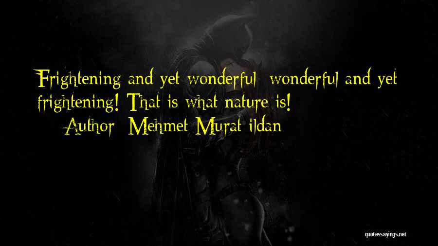 Mehmet Murat Ildan Quotes: Frightening And Yet Wonderful; Wonderful And Yet Frightening! That Is What Nature Is!