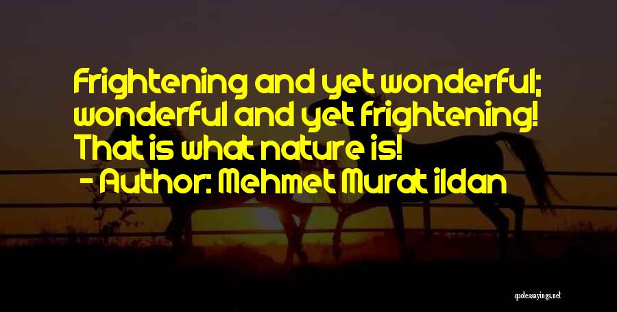 Mehmet Murat Ildan Quotes: Frightening And Yet Wonderful; Wonderful And Yet Frightening! That Is What Nature Is!