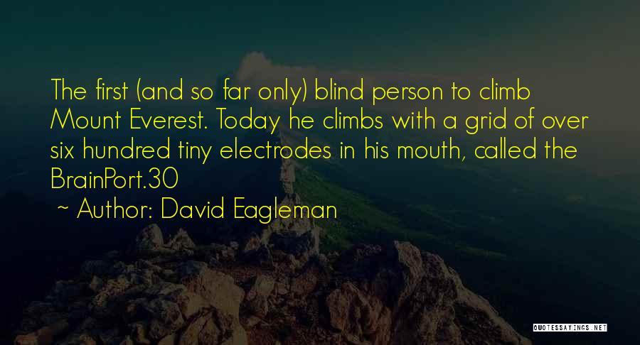 David Eagleman Quotes: The First (and So Far Only) Blind Person To Climb Mount Everest. Today He Climbs With A Grid Of Over