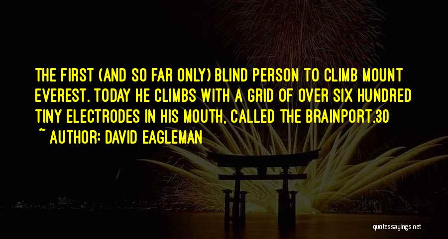 David Eagleman Quotes: The First (and So Far Only) Blind Person To Climb Mount Everest. Today He Climbs With A Grid Of Over