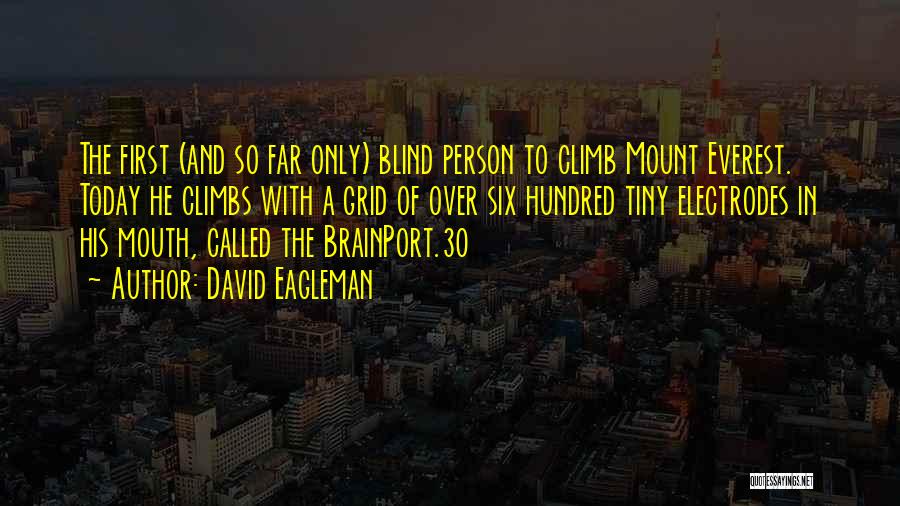 David Eagleman Quotes: The First (and So Far Only) Blind Person To Climb Mount Everest. Today He Climbs With A Grid Of Over