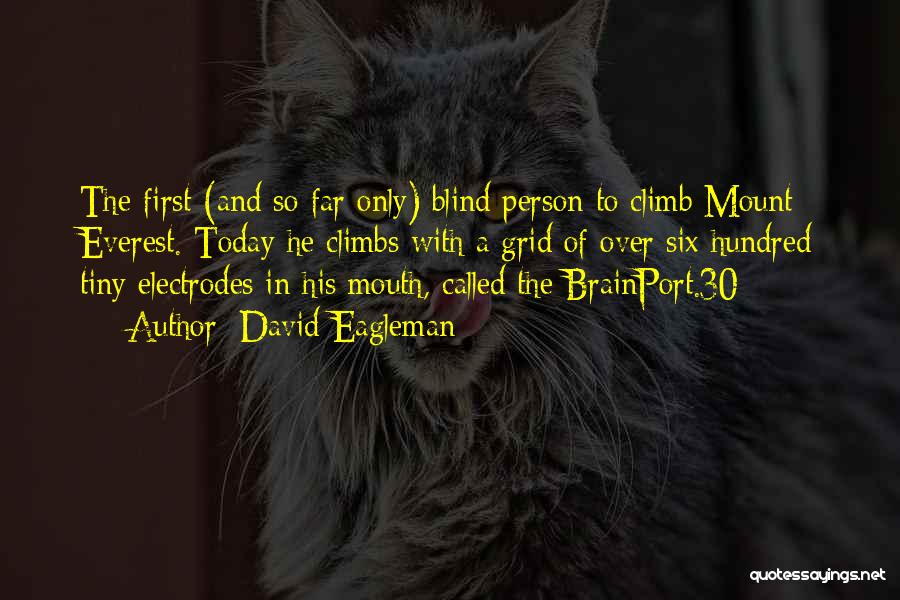 David Eagleman Quotes: The First (and So Far Only) Blind Person To Climb Mount Everest. Today He Climbs With A Grid Of Over