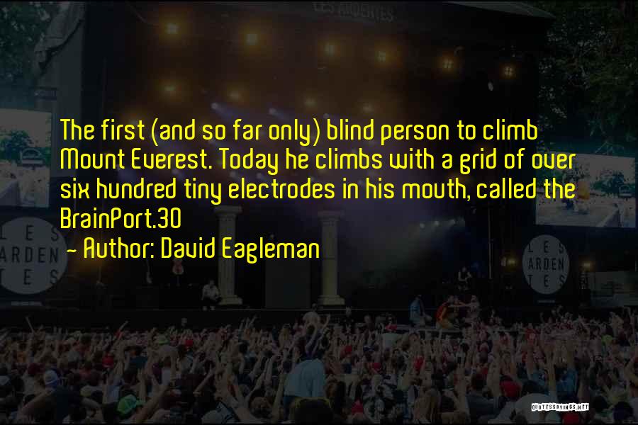 David Eagleman Quotes: The First (and So Far Only) Blind Person To Climb Mount Everest. Today He Climbs With A Grid Of Over