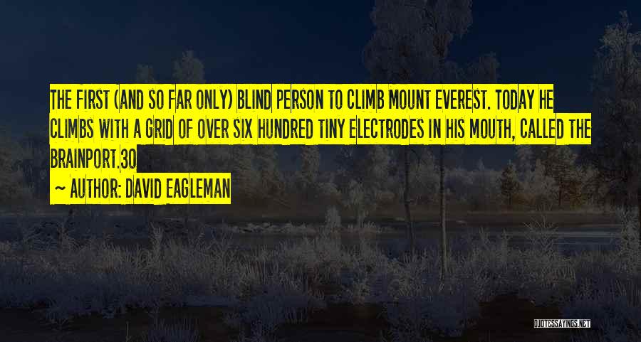 David Eagleman Quotes: The First (and So Far Only) Blind Person To Climb Mount Everest. Today He Climbs With A Grid Of Over