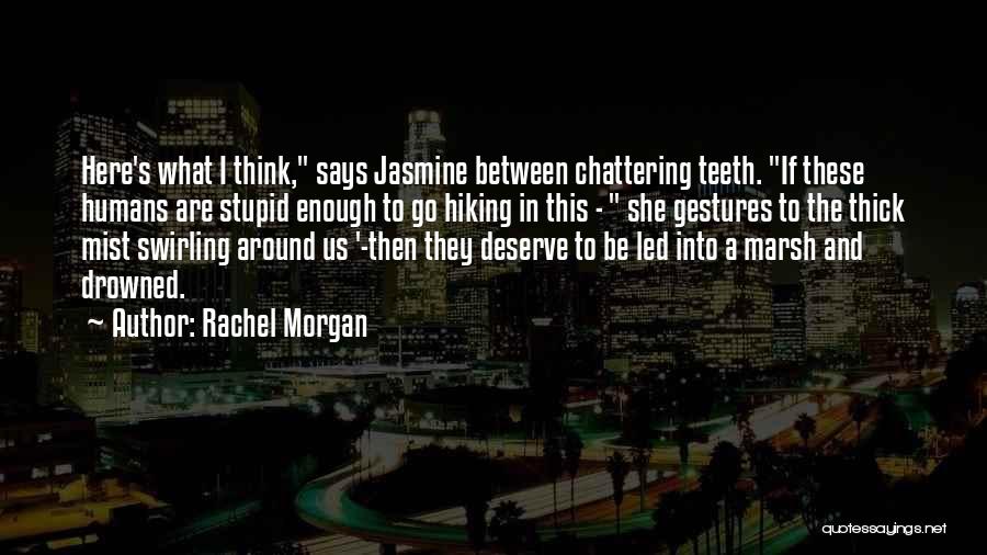 Rachel Morgan Quotes: Here's What I Think, Says Jasmine Between Chattering Teeth. If These Humans Are Stupid Enough To Go Hiking In This