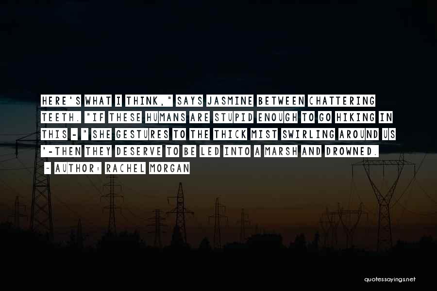 Rachel Morgan Quotes: Here's What I Think, Says Jasmine Between Chattering Teeth. If These Humans Are Stupid Enough To Go Hiking In This