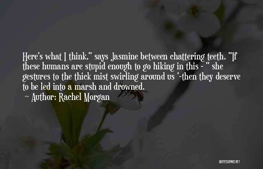 Rachel Morgan Quotes: Here's What I Think, Says Jasmine Between Chattering Teeth. If These Humans Are Stupid Enough To Go Hiking In This