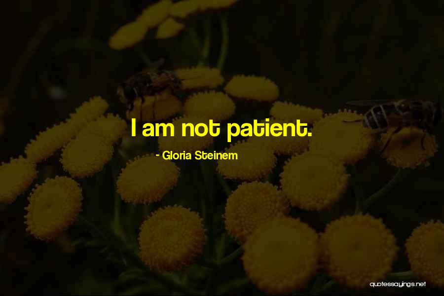 300km Quotes By Gloria Steinem