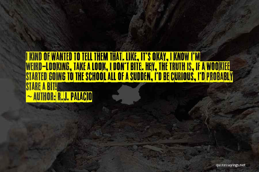 R.J. Palacio Quotes: I Kind Of Wanted To Tell Them That. Like, It's Okay, I Know I'm Weird-looking, Take A Look, I Don't