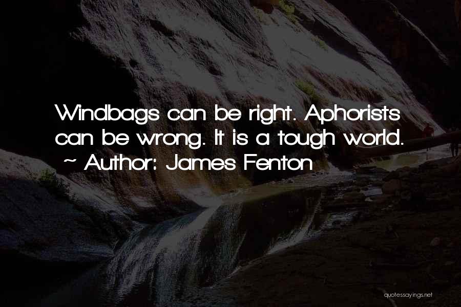 James Fenton Quotes: Windbags Can Be Right. Aphorists Can Be Wrong. It Is A Tough World.