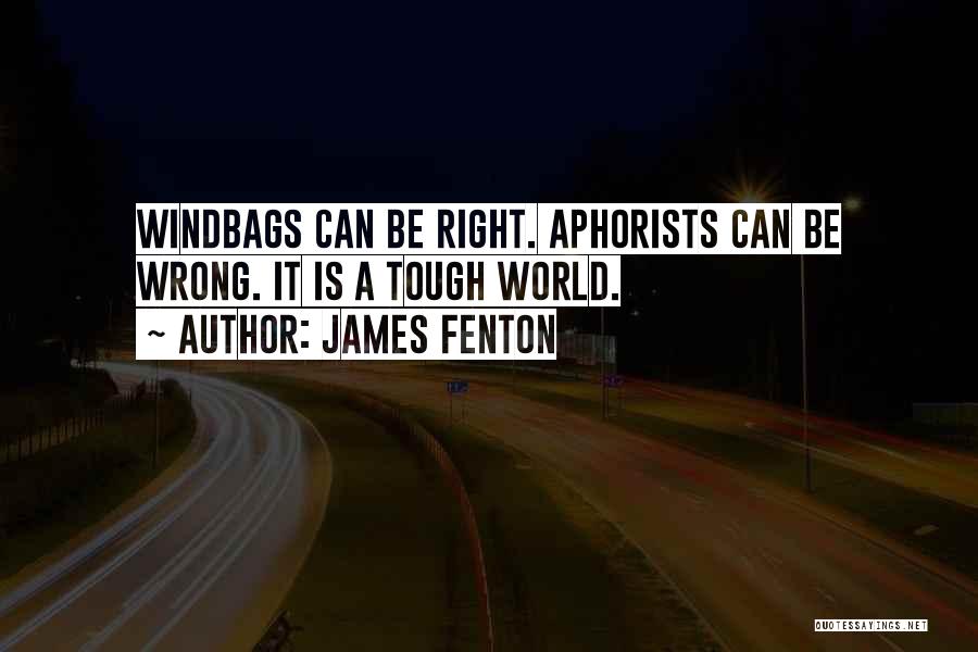 James Fenton Quotes: Windbags Can Be Right. Aphorists Can Be Wrong. It Is A Tough World.