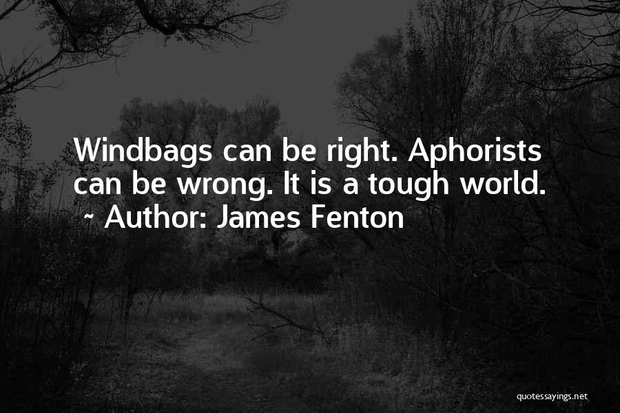 James Fenton Quotes: Windbags Can Be Right. Aphorists Can Be Wrong. It Is A Tough World.