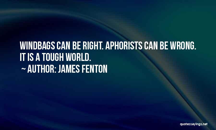 James Fenton Quotes: Windbags Can Be Right. Aphorists Can Be Wrong. It Is A Tough World.