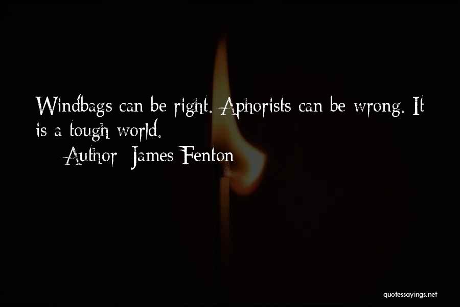James Fenton Quotes: Windbags Can Be Right. Aphorists Can Be Wrong. It Is A Tough World.