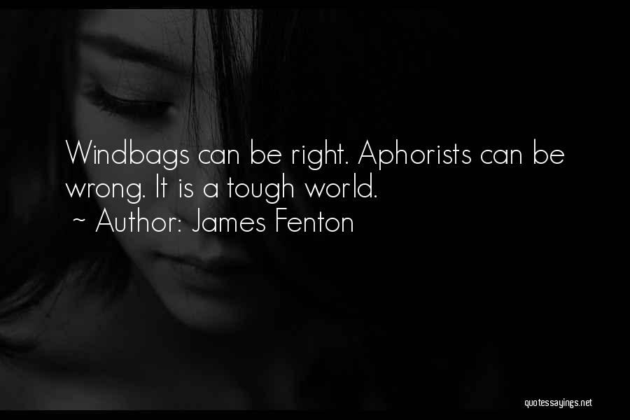 James Fenton Quotes: Windbags Can Be Right. Aphorists Can Be Wrong. It Is A Tough World.