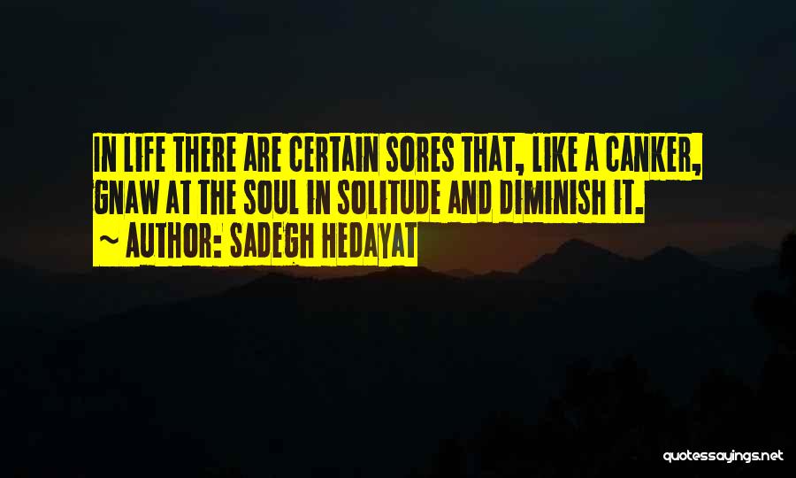 Sadegh Hedayat Quotes: In Life There Are Certain Sores That, Like A Canker, Gnaw At The Soul In Solitude And Diminish It.