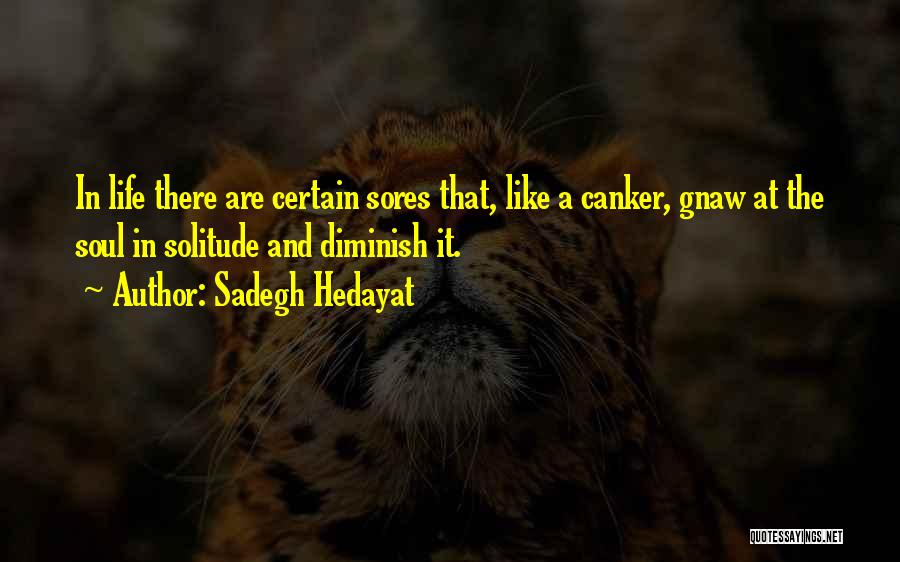 Sadegh Hedayat Quotes: In Life There Are Certain Sores That, Like A Canker, Gnaw At The Soul In Solitude And Diminish It.