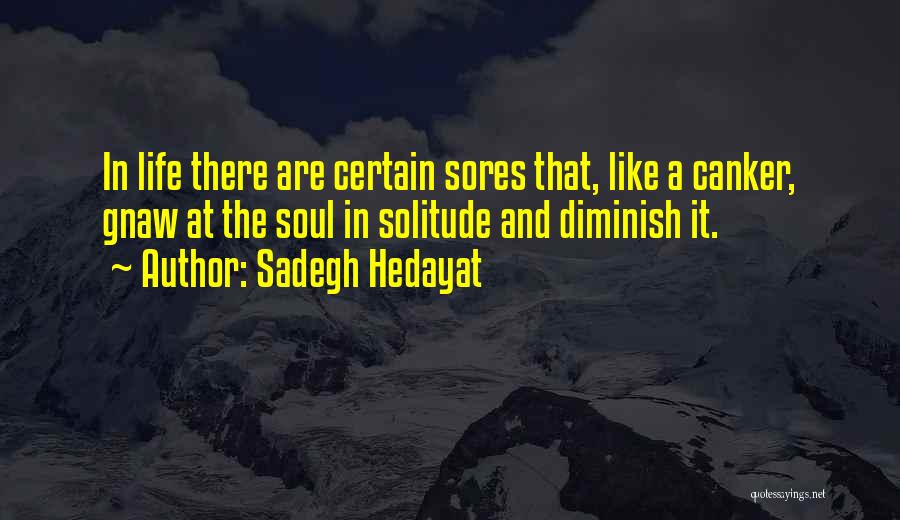 Sadegh Hedayat Quotes: In Life There Are Certain Sores That, Like A Canker, Gnaw At The Soul In Solitude And Diminish It.