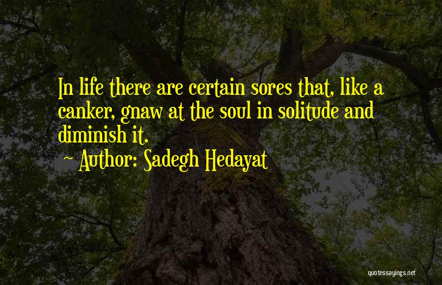 Sadegh Hedayat Quotes: In Life There Are Certain Sores That, Like A Canker, Gnaw At The Soul In Solitude And Diminish It.