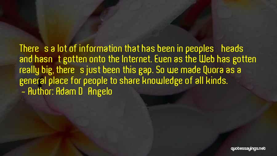 Adam D'Angelo Quotes: There's A Lot Of Information That Has Been In Peoples' Heads And Hasn't Gotten Onto The Internet. Even As The