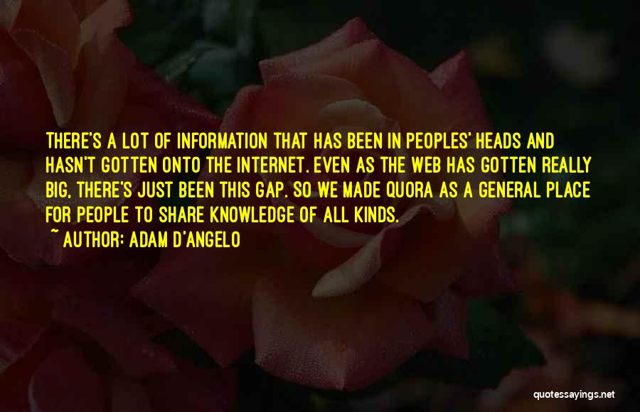 Adam D'Angelo Quotes: There's A Lot Of Information That Has Been In Peoples' Heads And Hasn't Gotten Onto The Internet. Even As The